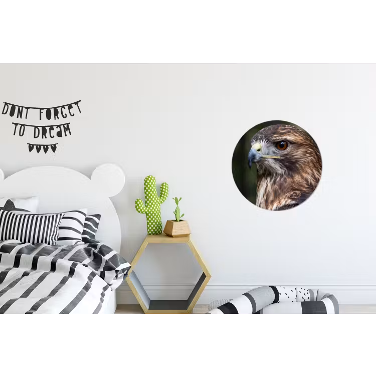 Buizerd - Roofvogel - Natuur - Bruin Wandcirkel aluminium klein -kinderkamer