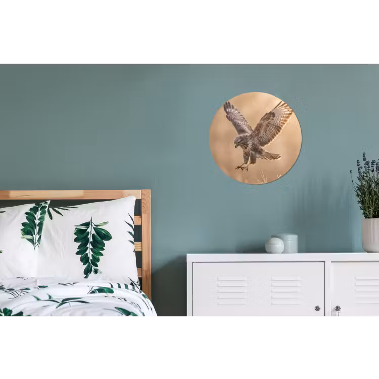 Buizerd - Roofvogel - Natuur - Bruin Wandcirkel aluminium klein -slaapkamer