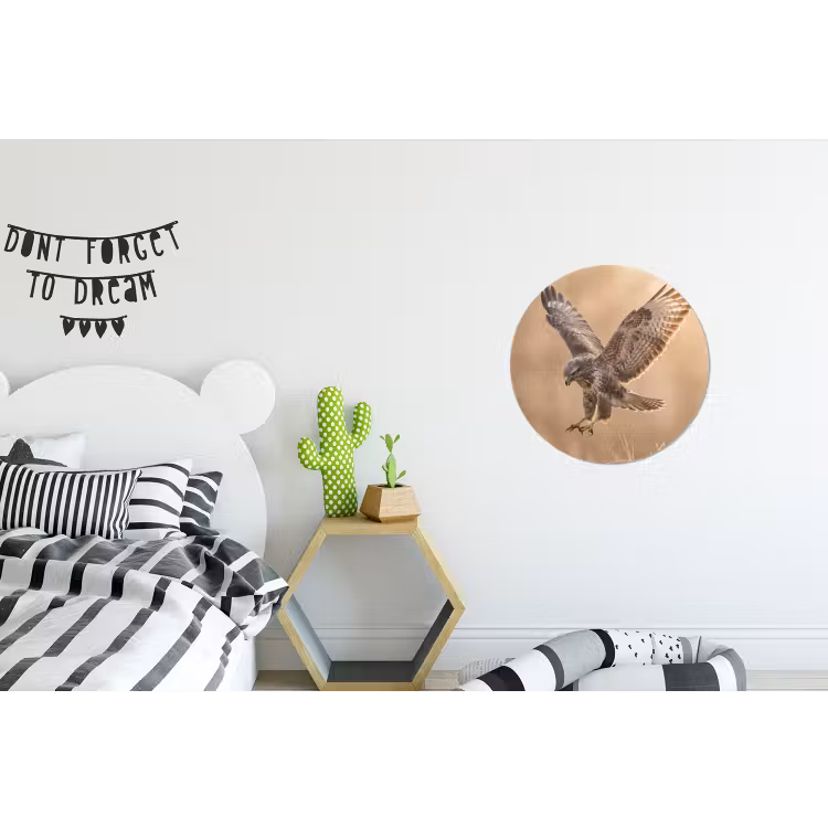 Buizerd - Roofvogel - Natuur - Bruin Wandcirkel aluminium klein -kinderkamer