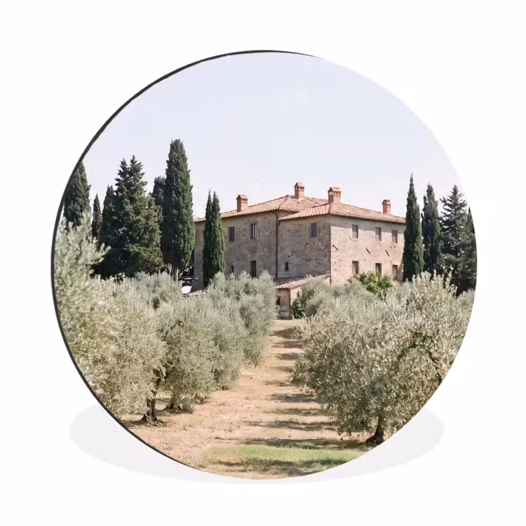 Wall circle - Aluminum - Country house - olive tree - orchard - Landhuis - olijfboom - gaard Wandcirkel aluminium klein