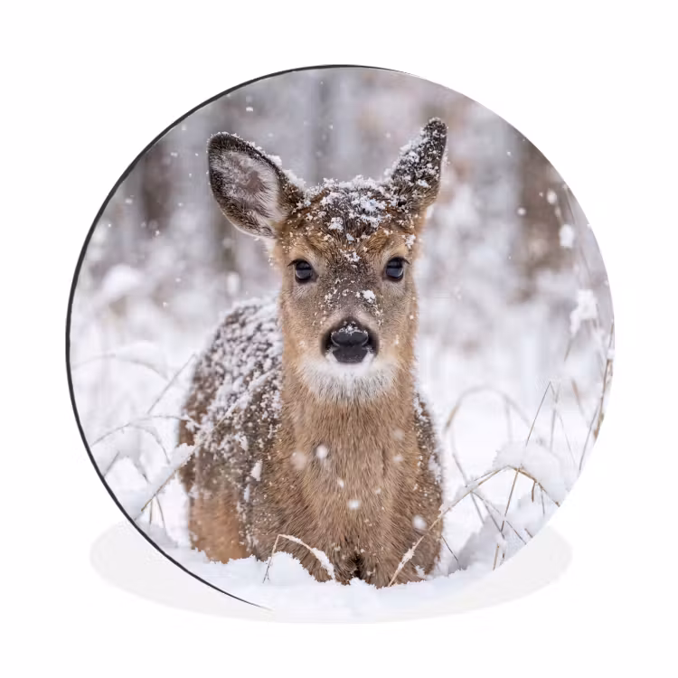 Hert - Sneeuw - Bos - Dieren - Vertederend Wandcirkel aluminium klein -3d