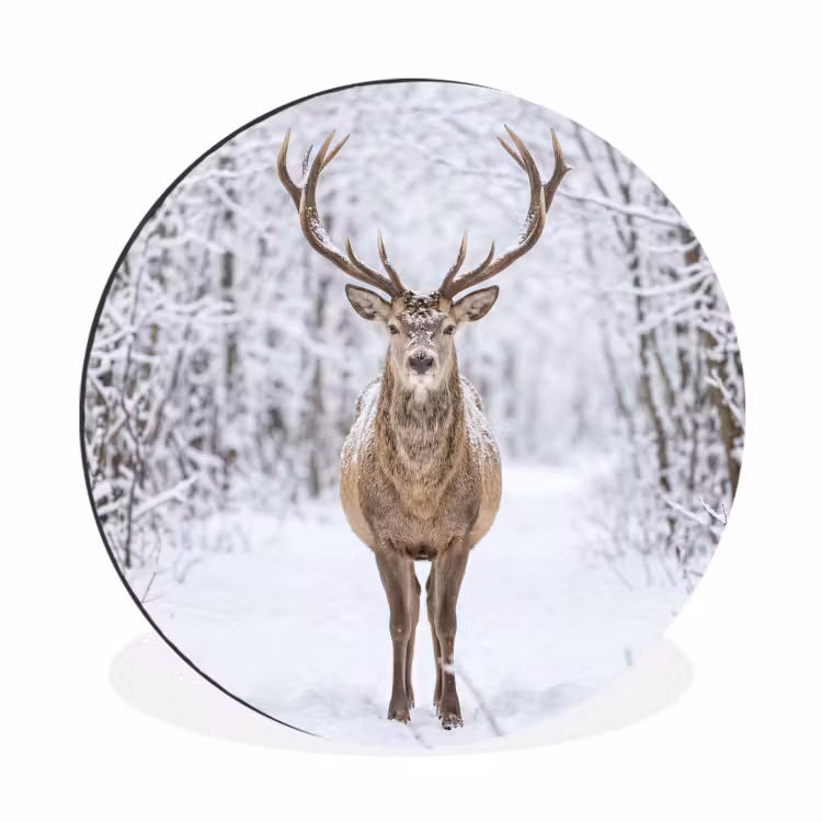 Hert - Winter - Bos - Natuur - Wit Wandcirkel aluminium klein -3d