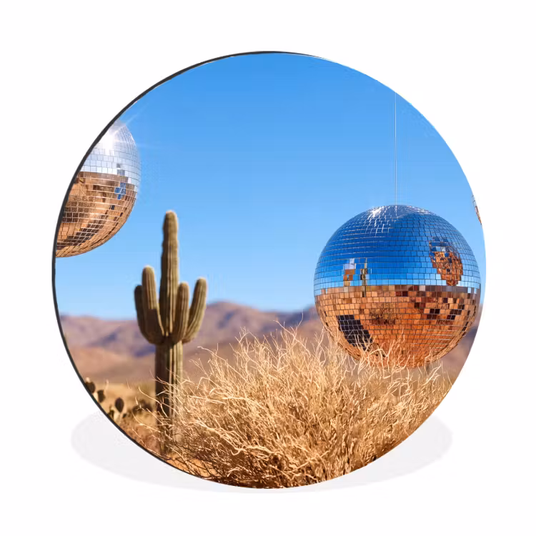 Wall circle - Aluminum - Desert - Mirror Ball - Art - Woestijn - Spiegelbal - Kunst Wandcirkel aluminium klein