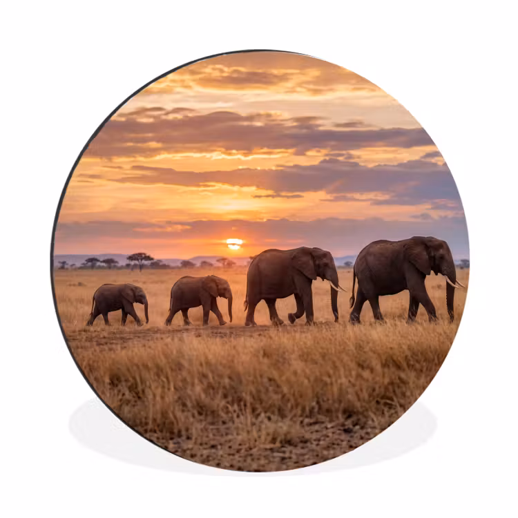 Olifanten - Savanne - Zonsondergang - Afrika - Warm Wandcirkel aluminium klein -3d