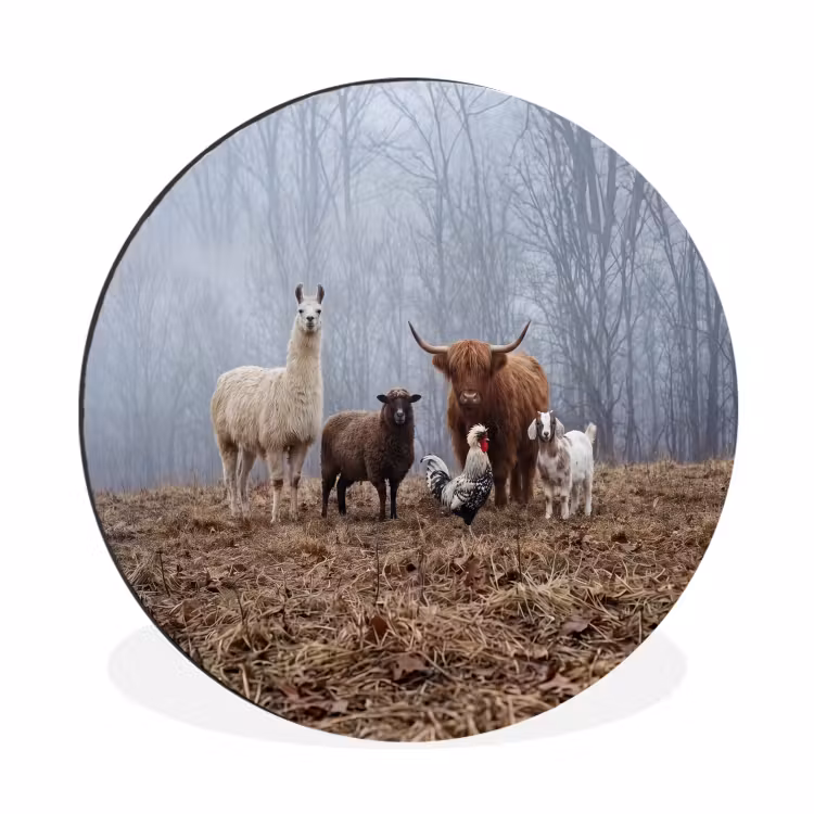 Boerderijdieren - Groep - Mist - Natuur - Rustiek Wandcirkel aluminium klein -3d