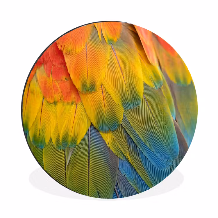 Veren - Ara - Kleurrijk Wandcirkel aluminium klein -3d