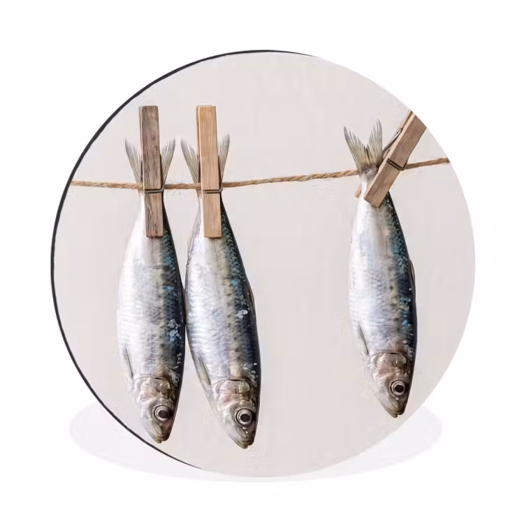 Wall circle - Aluminum - Fish - Hanging - Food - Vis - Hangend - Eten Wandcirkel aluminium klein