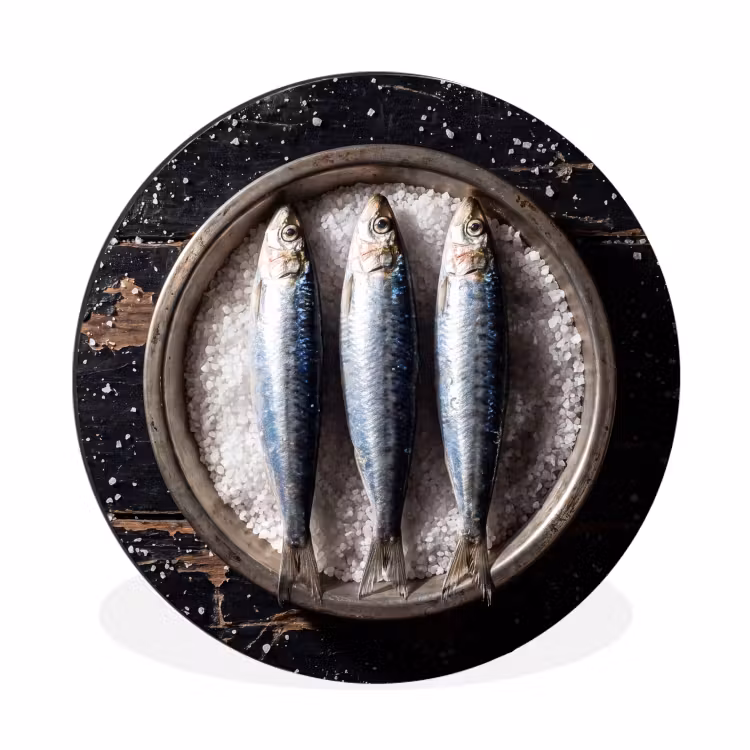 Wall circle - Aluminum - Fish - Salt - Food - Vis - Zout - Eten Wandcirkel aluminium klein