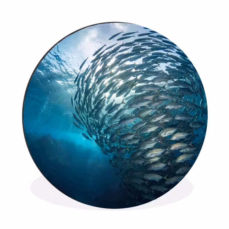 Vis - School - Oceaan - Natuur - Blauw Wandcirkel aluminium klein -3d