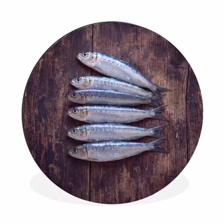 Wall circle - Aluminum - Fish - Wood - Food - Vis - Hout - Eten Wandcirkel aluminium klein