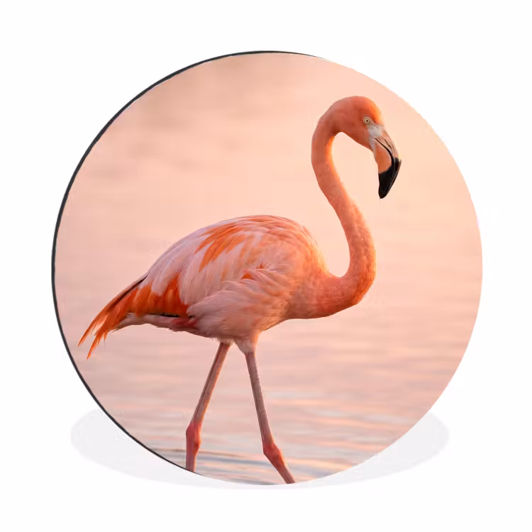 Flamingo - Water - Roze Wandcirkel aluminium klein -3d