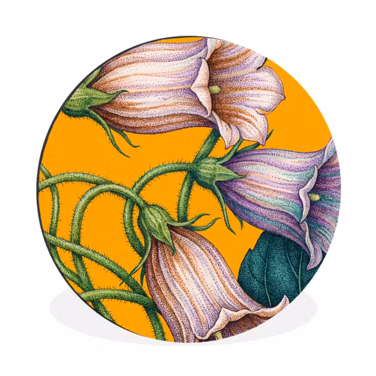 Wall circle - Aluminum - Flowers - Botanical - Yellow - Bloemen - Botanisch - Geel Wandcirkel aluminium klein