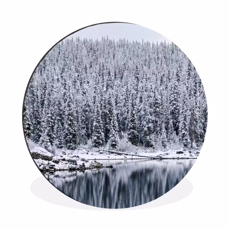 Bos - Reflectie - Meer - Winter - Serene Wandcirkel aluminium klein -3d