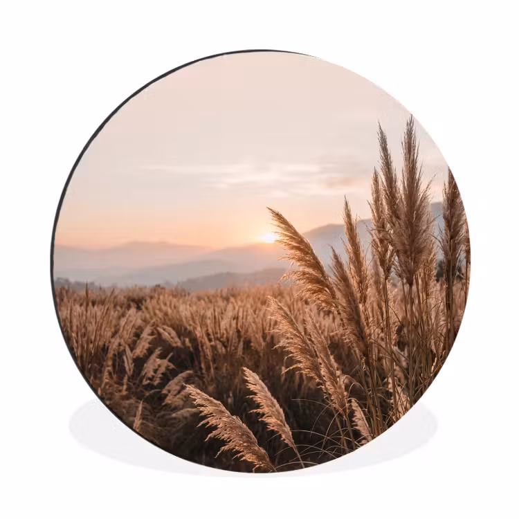 Gras - Veld - Zon - Natuur Wandcirkel aluminium klein -3d