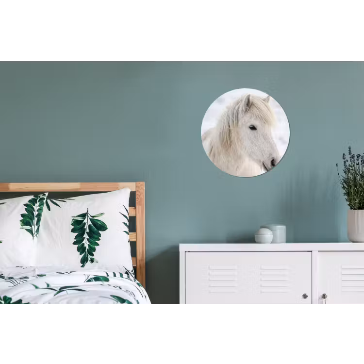 Paard - Kop - Winter - Dieren - Wit Wandcirkel aluminium klein -slaapkamer