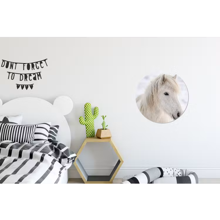 Paard - Kop - Winter - Dieren - Wit Wandcirkel aluminium klein -kinderkamer