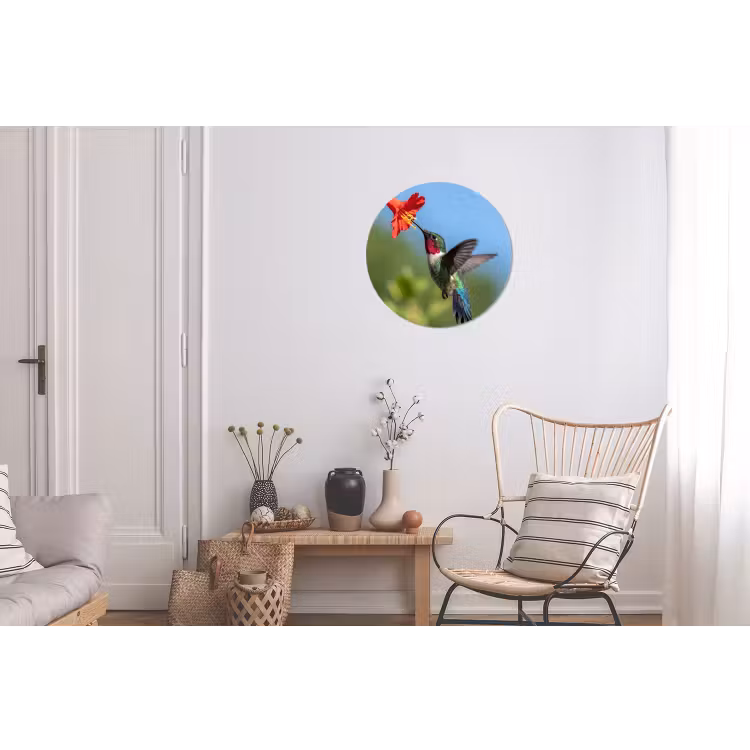 Kolibrie - Bloem - Natuur - Groen Wandcirkel aluminium klein -woonkamer