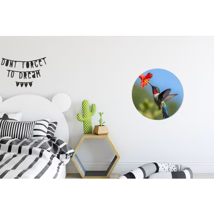 Kolibrie - Bloem - Natuur - Groen Wandcirkel aluminium klein -kinderkamer