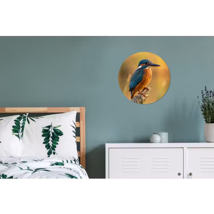 IJsvogel - Tak - Water - Kleurrijk - Levendig Wandcirkel aluminium klein -slaapkamer