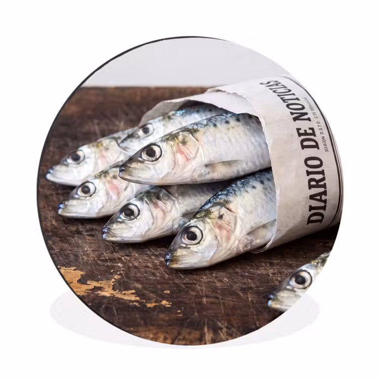 Wall circle - Aluminum - Little Sardine - newspaper - cutting board - Sardientje - krant - snijplank Wandcirkel aluminium klein