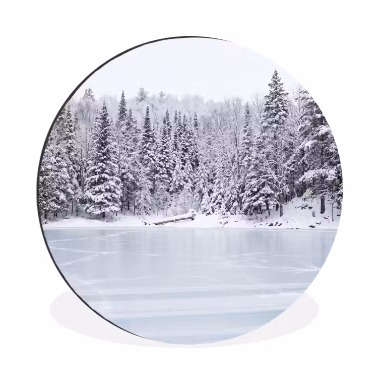 Meer - Dennen - IJs - Winter - Rustgevend Wandcirkel aluminium klein -3d