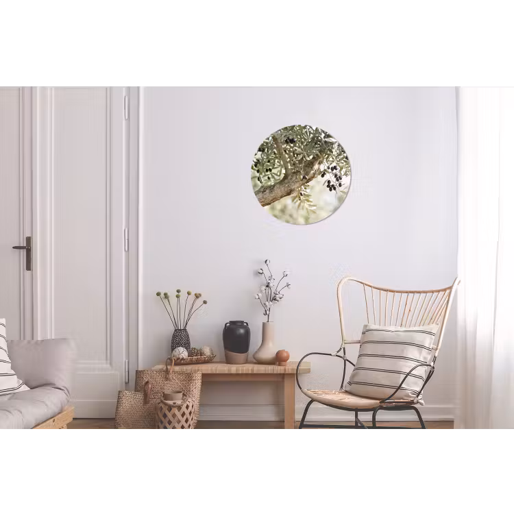 Wall circle - Aluminum - Olive tree - branch - green - Olijfboom - tak - groen Wandcirkel aluminium klein