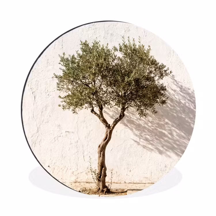 Wall circle - Aluminum - Olive Tree - Wall - White - Olijfboom - muur - wit Wandcirkel aluminium klein