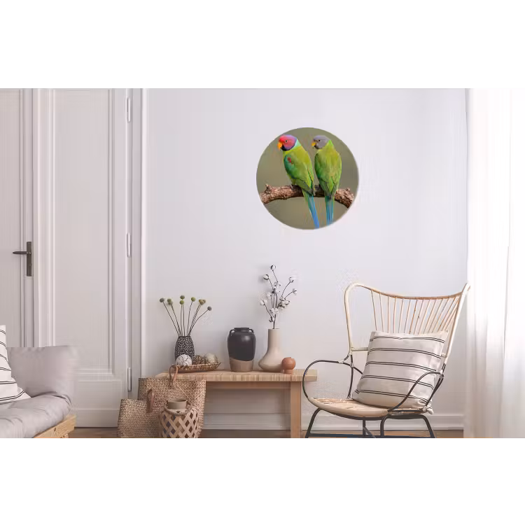 Papagaai - Tak - Natuur - Kleurrijk Wandcirkel aluminium klein -woonkamer