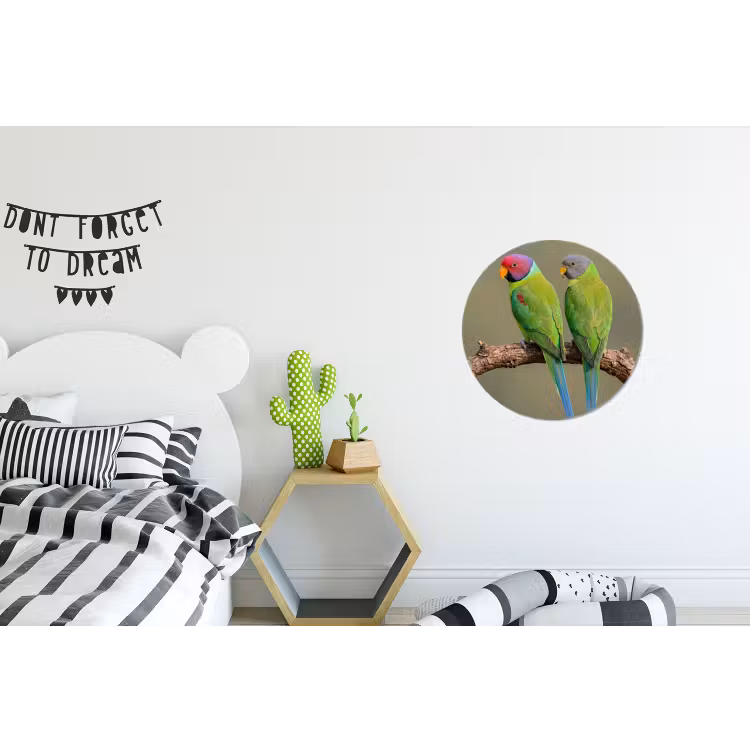 Papagaai - Tak - Natuur - Kleurrijk Wandcirkel aluminium klein -kinderkamer