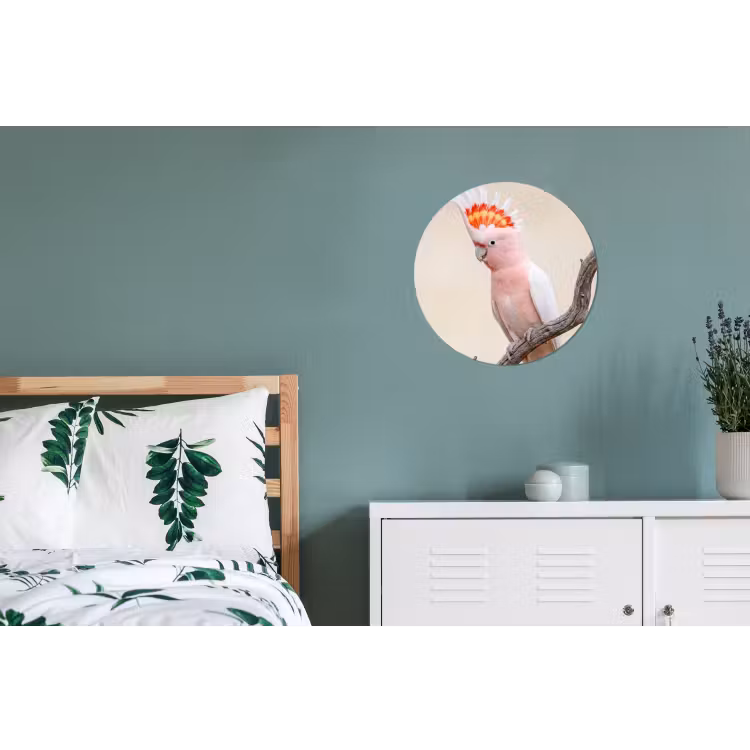 Papagaai - Tak - Roze Wandcirkel aluminium klein -slaapkamer