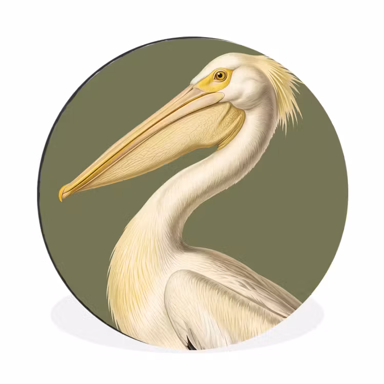 Pelikaan - Wit - Vogel - Klassiek - Natuur Wandcirkel aluminium klein -3d