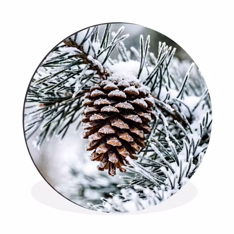 Dennenappel - Tak - Sneeuw - Winter - Sfeervol Wandcirkel aluminium klein -3d
