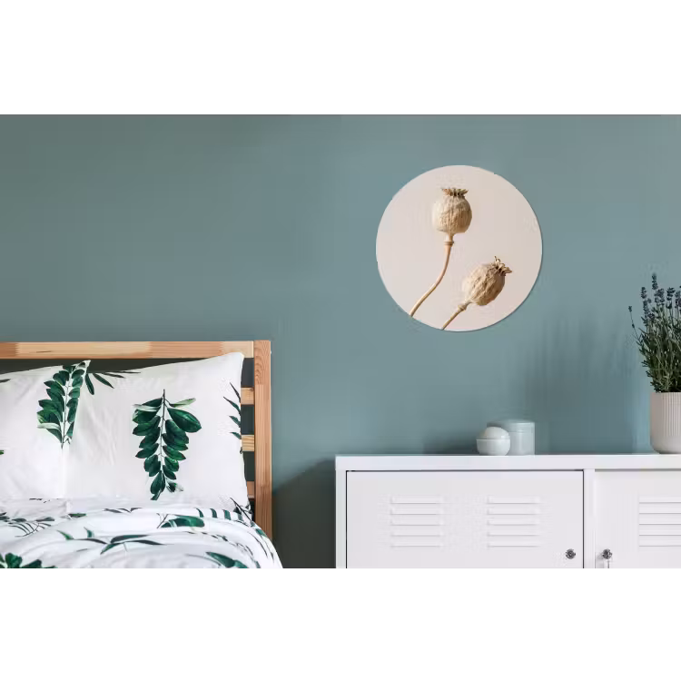 Papaverbollen - Droogbloemen - Minimalistisch - Beige - Rustig Wandcirkel aluminium klein -slaapkamer