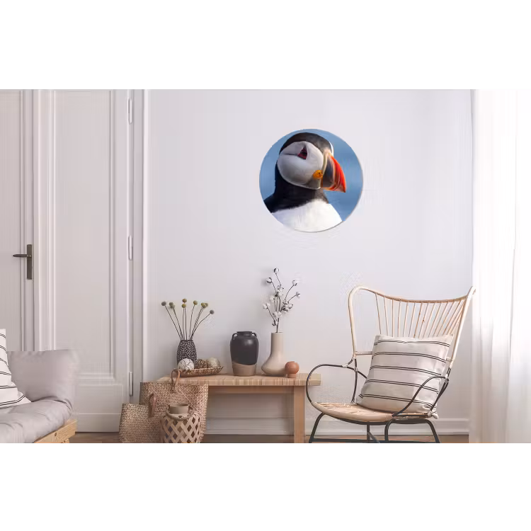Papegaaiduiker - Portret - Natuur Wandcirkel aluminium klein -woonkamer