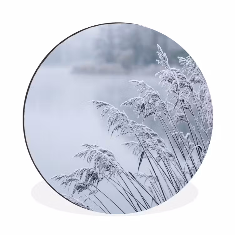 Riet - Bevroren - Winter - Natuur Wandcirkel aluminium klein -3d
