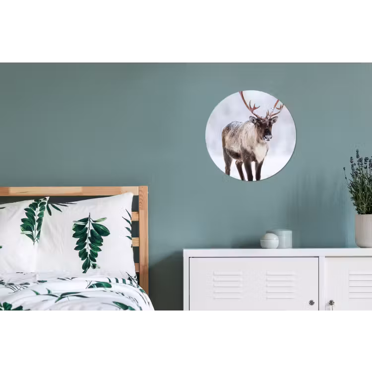 Rendier - Gewei - Toendra - Sneeuw - Wild Wandcirkel aluminium klein -slaapkamer
