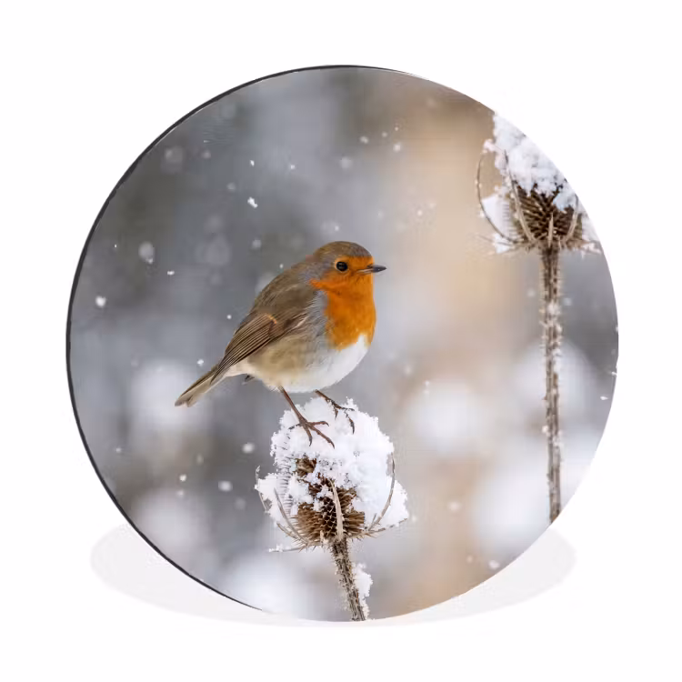Roodborstje - Gedroogde bloem - Sneeuw - Winter - Vertederend Wandcirkel aluminium klein -3d