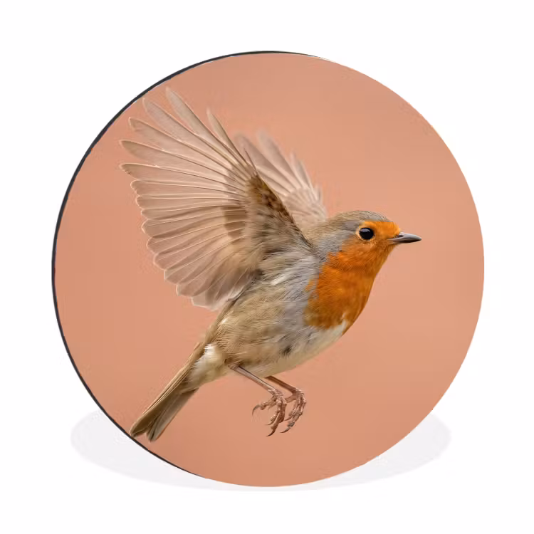 Roodborst - Natuur - Roze Wandcirkel aluminium klein -3d