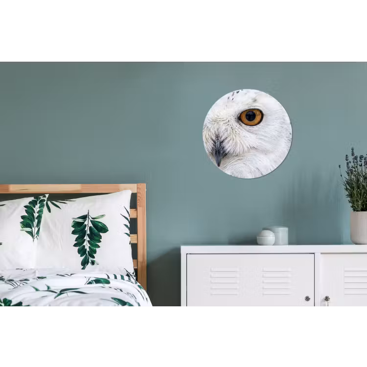 Sneeuwuil - Oog - Wildlife - Wit Wandcirkel aluminium klein -slaapkamer