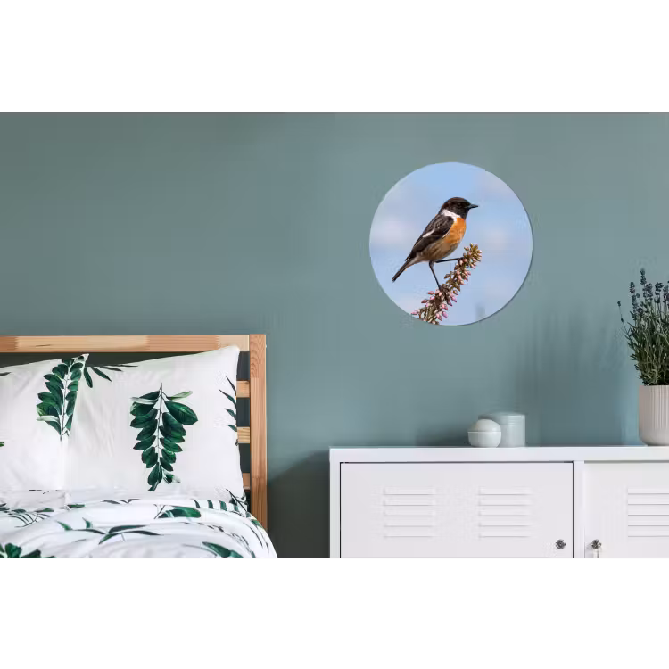 Roodborsttapuit - Heide - Paars - Natuur - Sfeervol Wandcirkel aluminium klein -slaapkamer