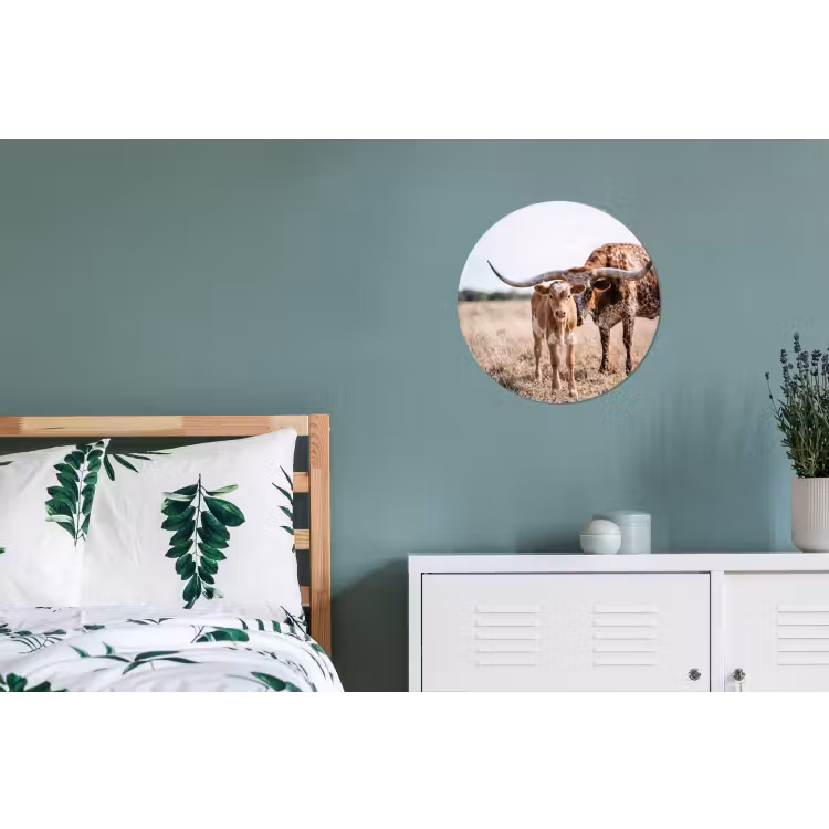 Texas Longhorn - Kalf - Weide - Dieren Wandcirkel aluminium klein -slaapkamer