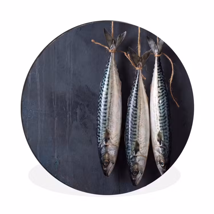 Wall circle - Aluminum - Three Fish - Rope - Drie vissen - Touw Wandcirkel aluminium klein