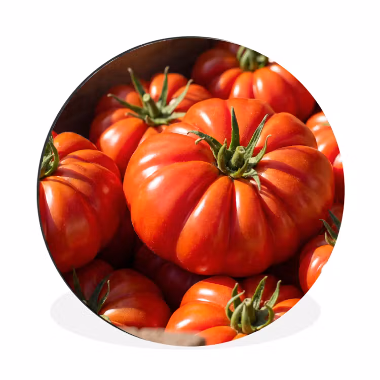 Wall circle - Aluminum - Tomato - Wooden - Crate - Tomaat - Houten - Kist Wandcirkel aluminium klein