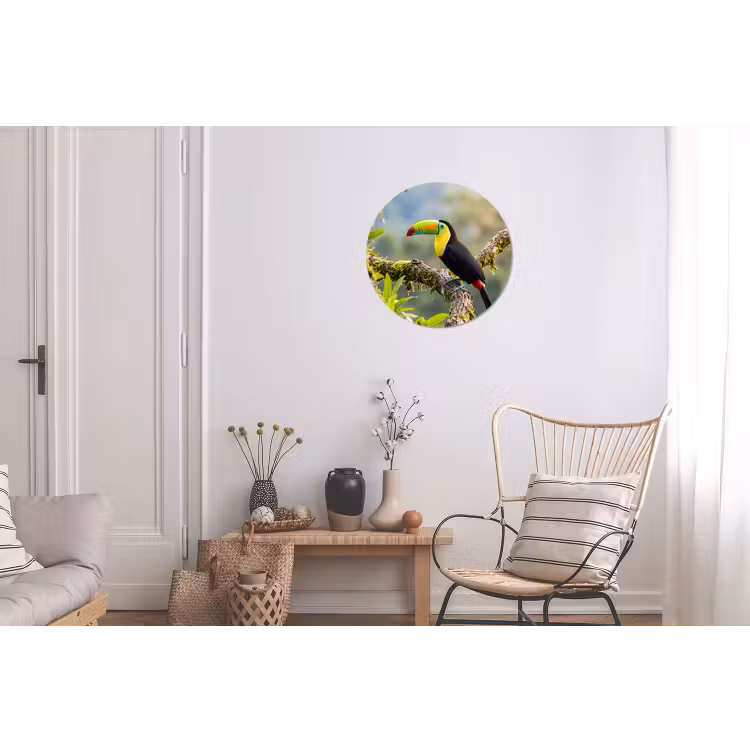 Toekan - Jungle - Natuur - Kleurrijk Wandcirkel aluminium klein -woonkamer