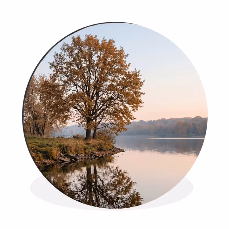 Bomen - Reflectie - Water - Zonsopgang - Serene Wandcirkel aluminium klein -3d