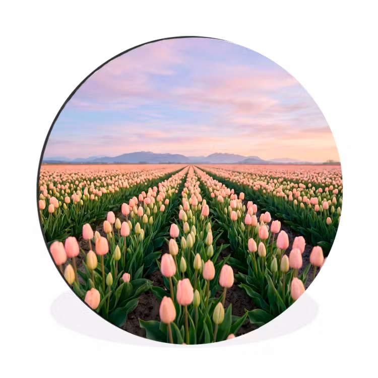 Tulpen - Landschap - Roze Wandcirkel aluminium klein -3d