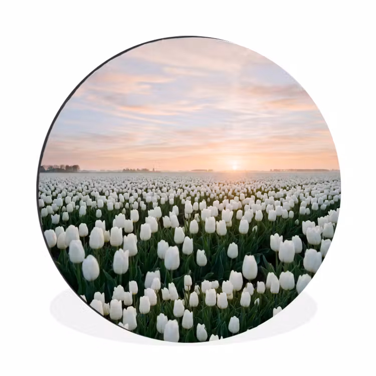 Tulpen - Landschap - Wit Wandcirkel aluminium klein -3d
