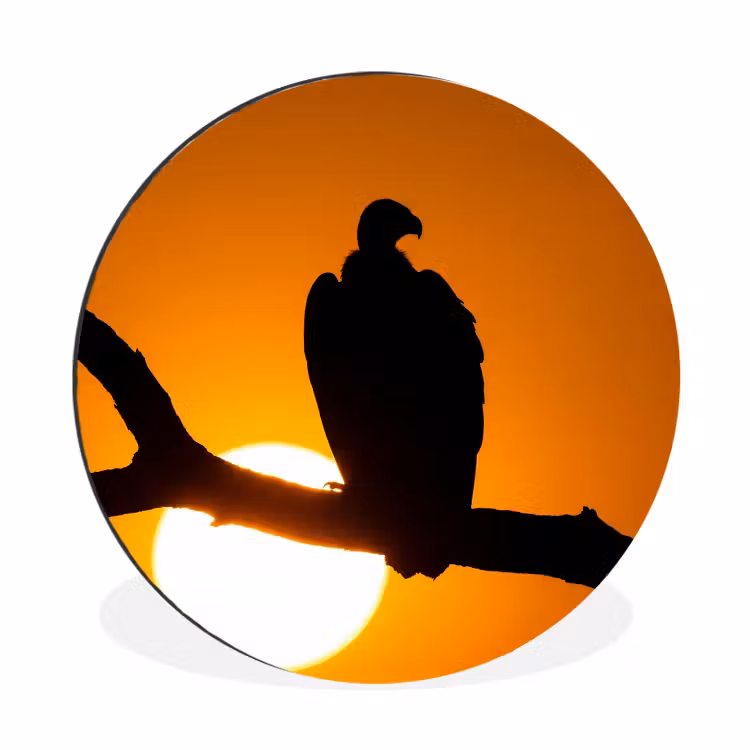 Gier - Tak - Zon - Oranje Wandcirkel aluminium klein -3d