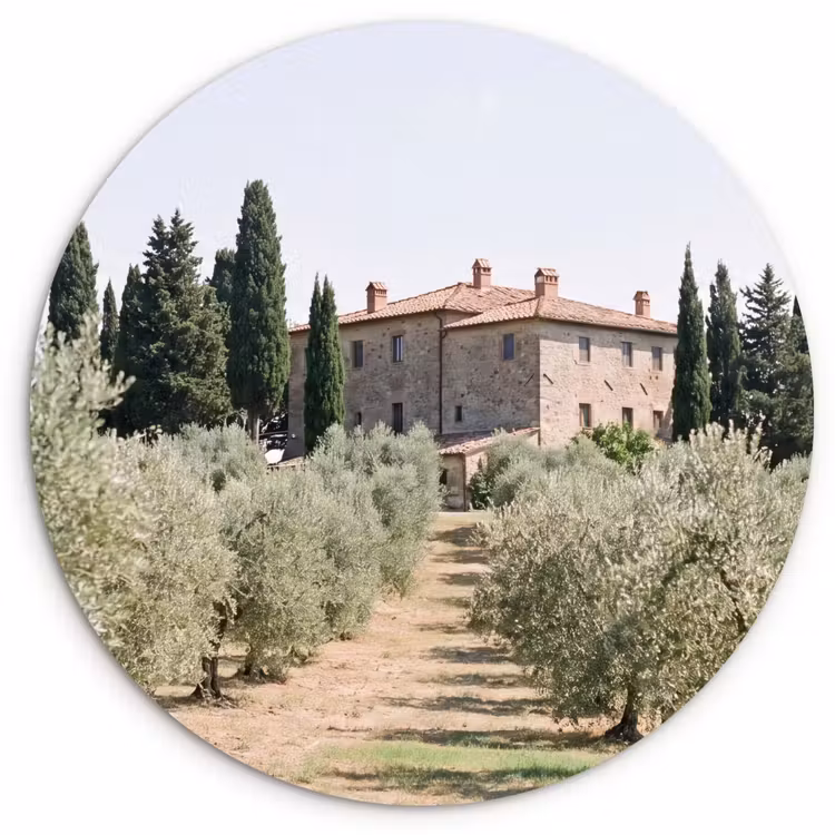 Wall circle - Glass - Country house - olive tree - orchard - Landhuis - olijfboom - gaard Wandcirkel plexiglas klein