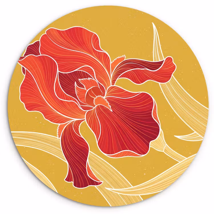 Wall circle - Glass - Flowers - Illustration - Red - Bloemen - Illustratie - Rood Wandcirkel plexiglas klein